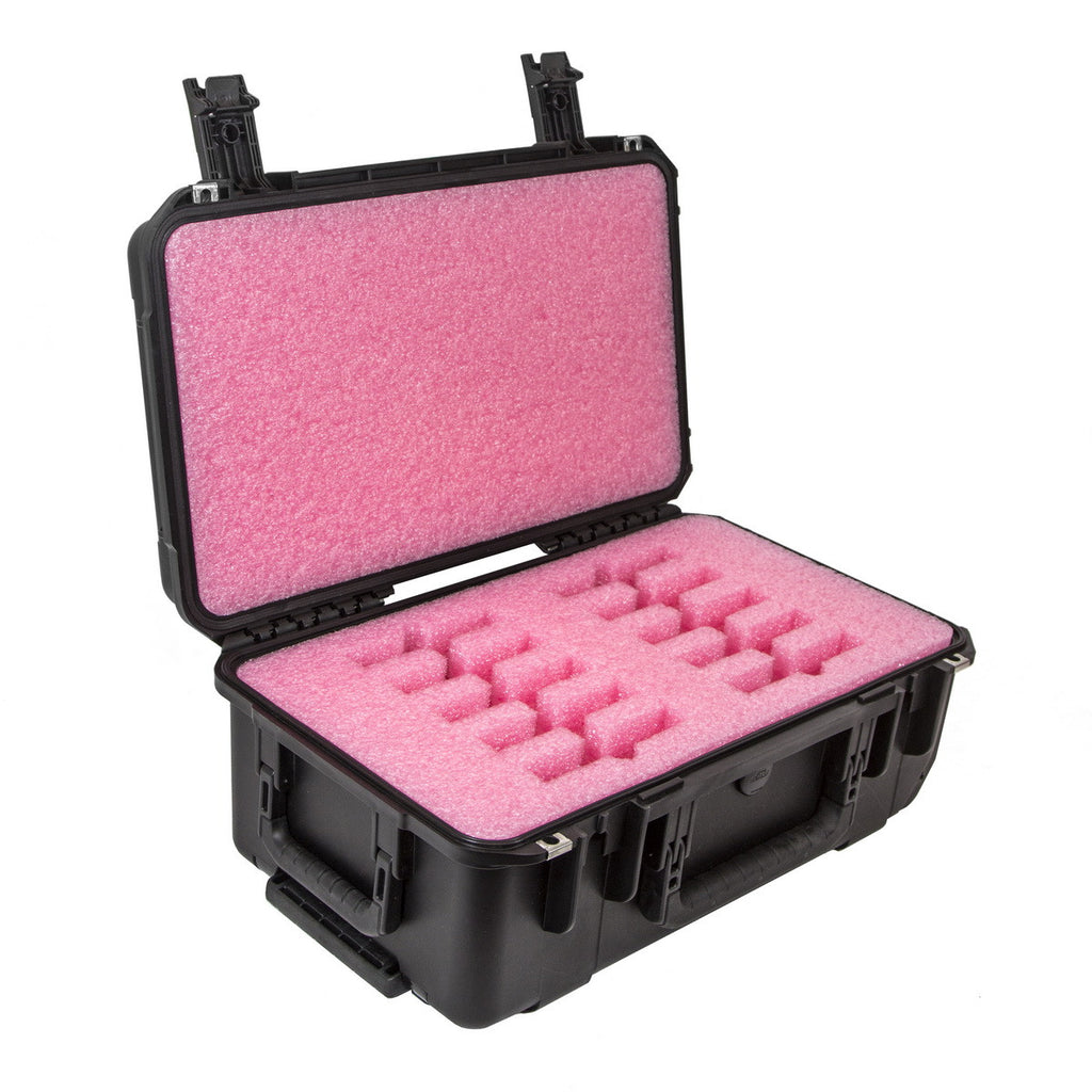 CasePro Universal Hard Drive 10 Pack Carrying Case